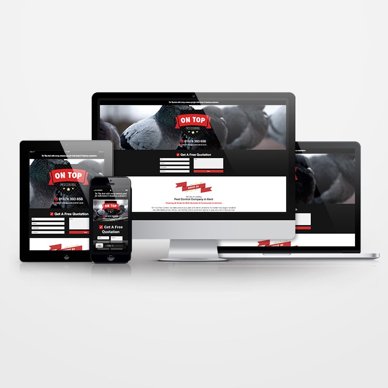 Photo of Grey Fox Web Design