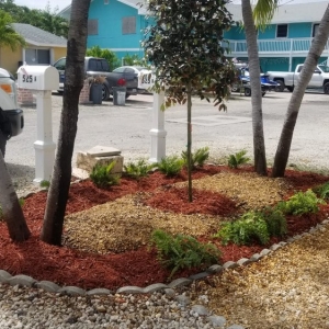 Photo of Centro America Landscaping