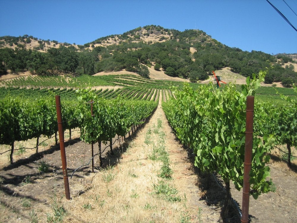 Photo of Wine Tasting Events USA