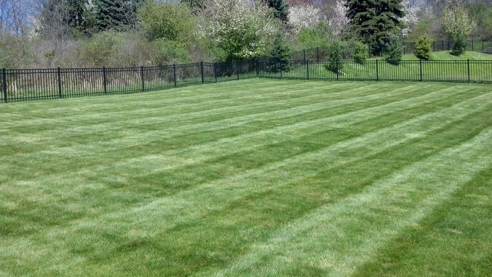 Photo of McGinn Lawn And Landscaping