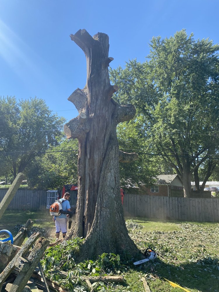 Photo of Fred & Son's Hauling & Tree Removal