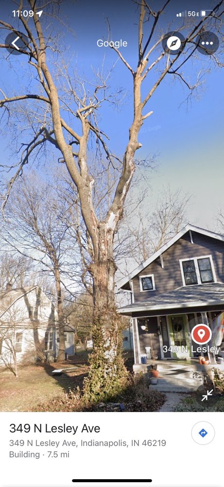 Photo of Fred & Son's Hauling & Tree Removal