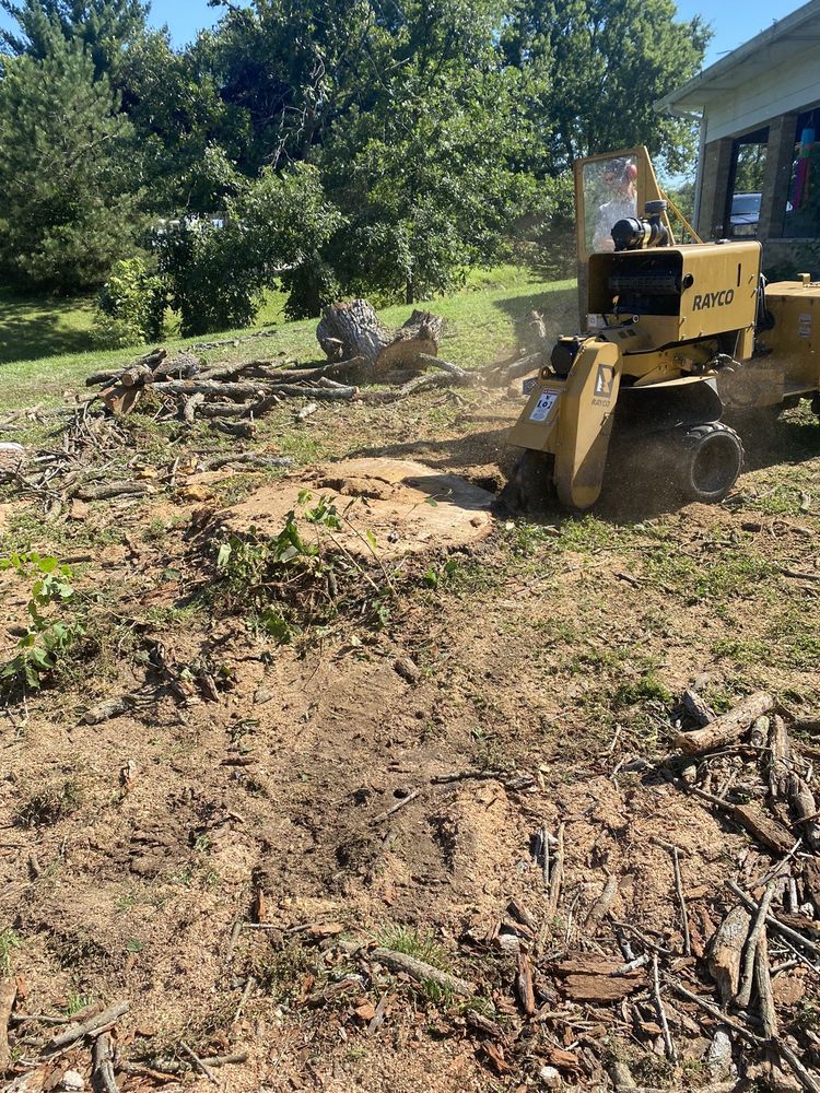 Photo of Fred & Son's Hauling & Tree Removal