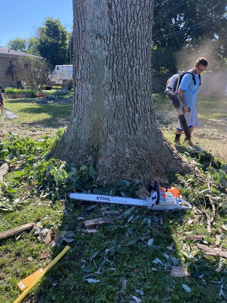 Photo of Fred & Son's Hauling & Tree Removal