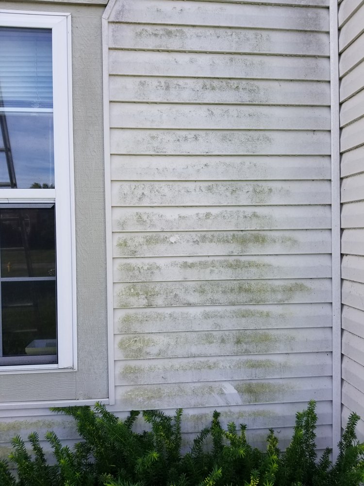 Photo of Forza Roof Cleaning