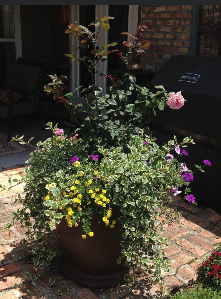 Photo of Blooming Gardens