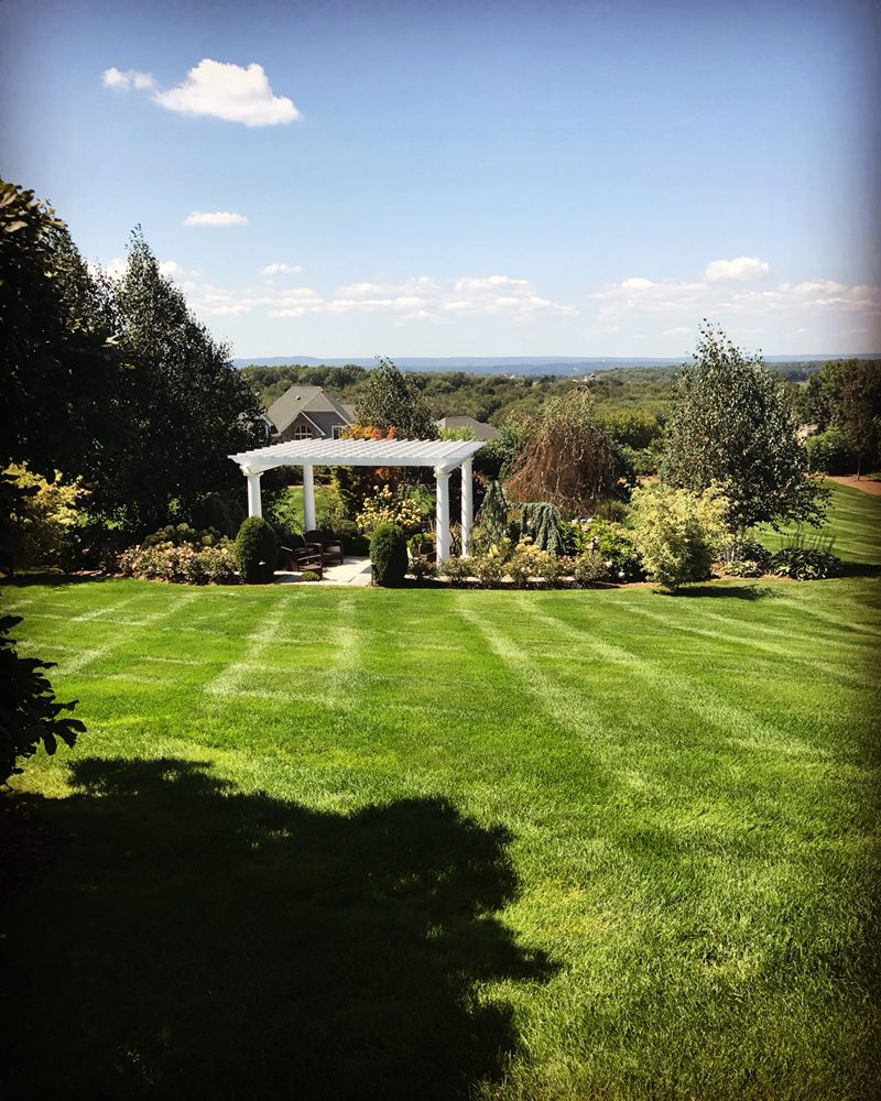 Photo of Brother Nature Tree & Landscape
