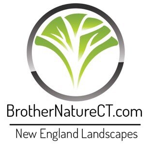 Photo of Brother Nature Tree & Landscape