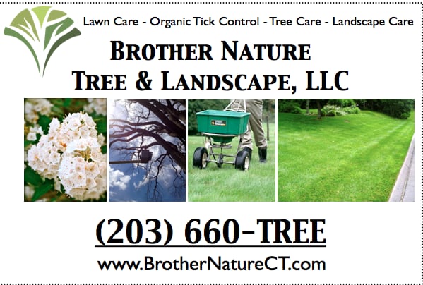 Photo of Brother Nature Tree & Landscape