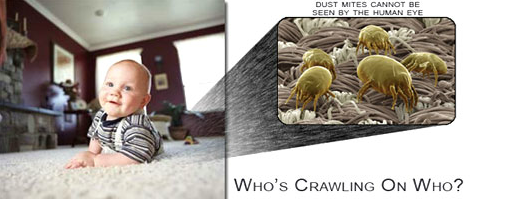 Photo of A & H Carpet Cleaning
