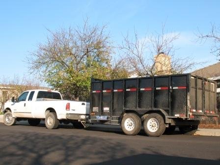 Photo of El Paso Tree Removal