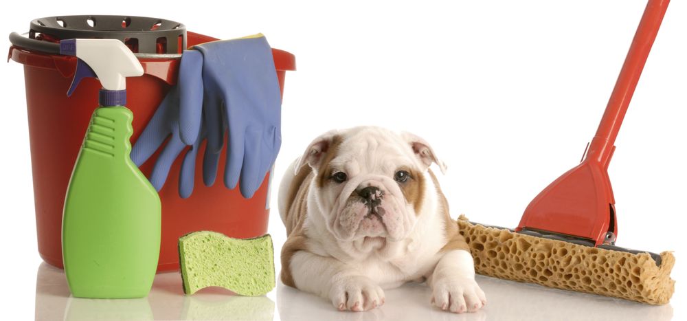 Photo of Total Cleaning Solutions