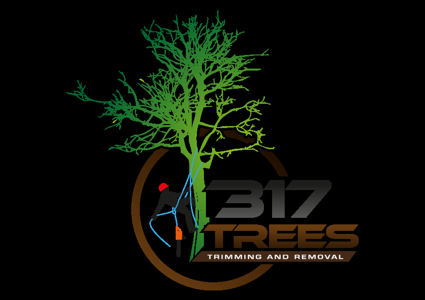 Photo of 317 Trees
