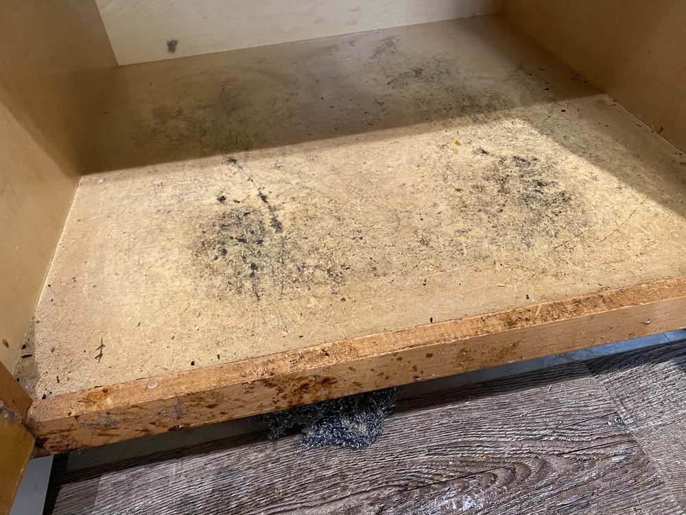 Photo of Tried & True Home Cleaning
