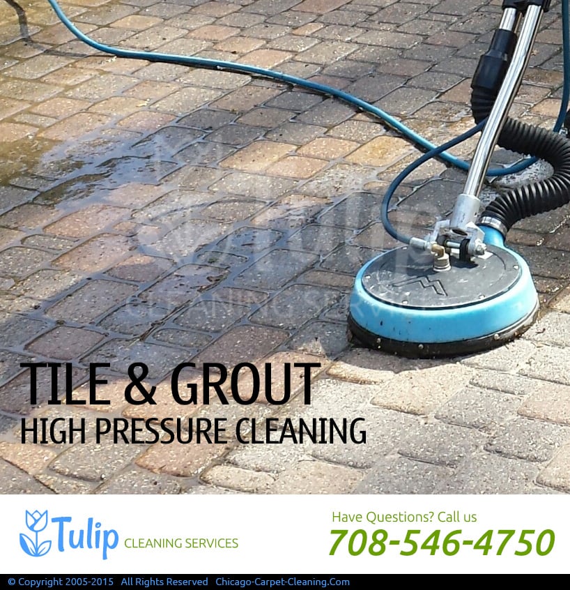 Photo of Tulip Cleaning Services