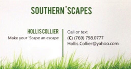 Photo of Southern 'Scapes