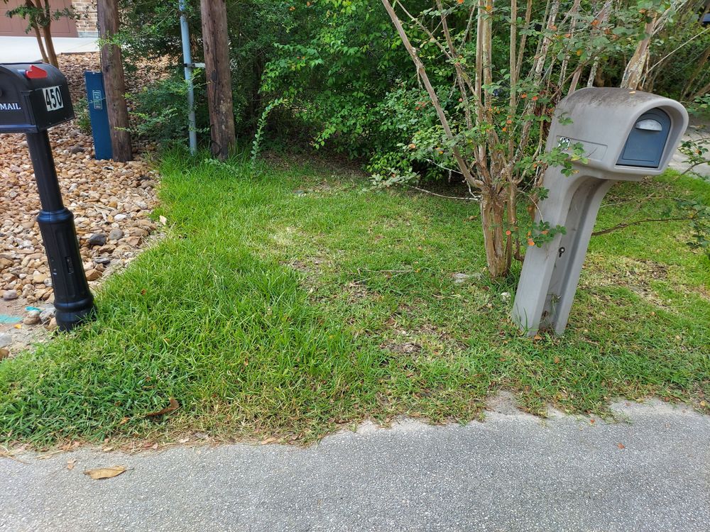 Photo of Fresh Lawn Mowing Service