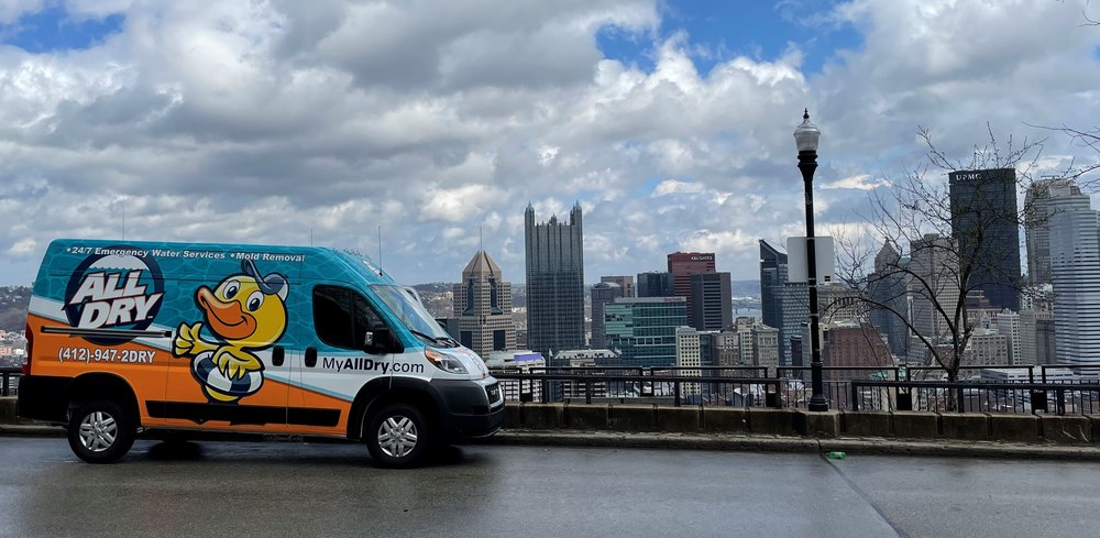 Photo of All Dry Services
