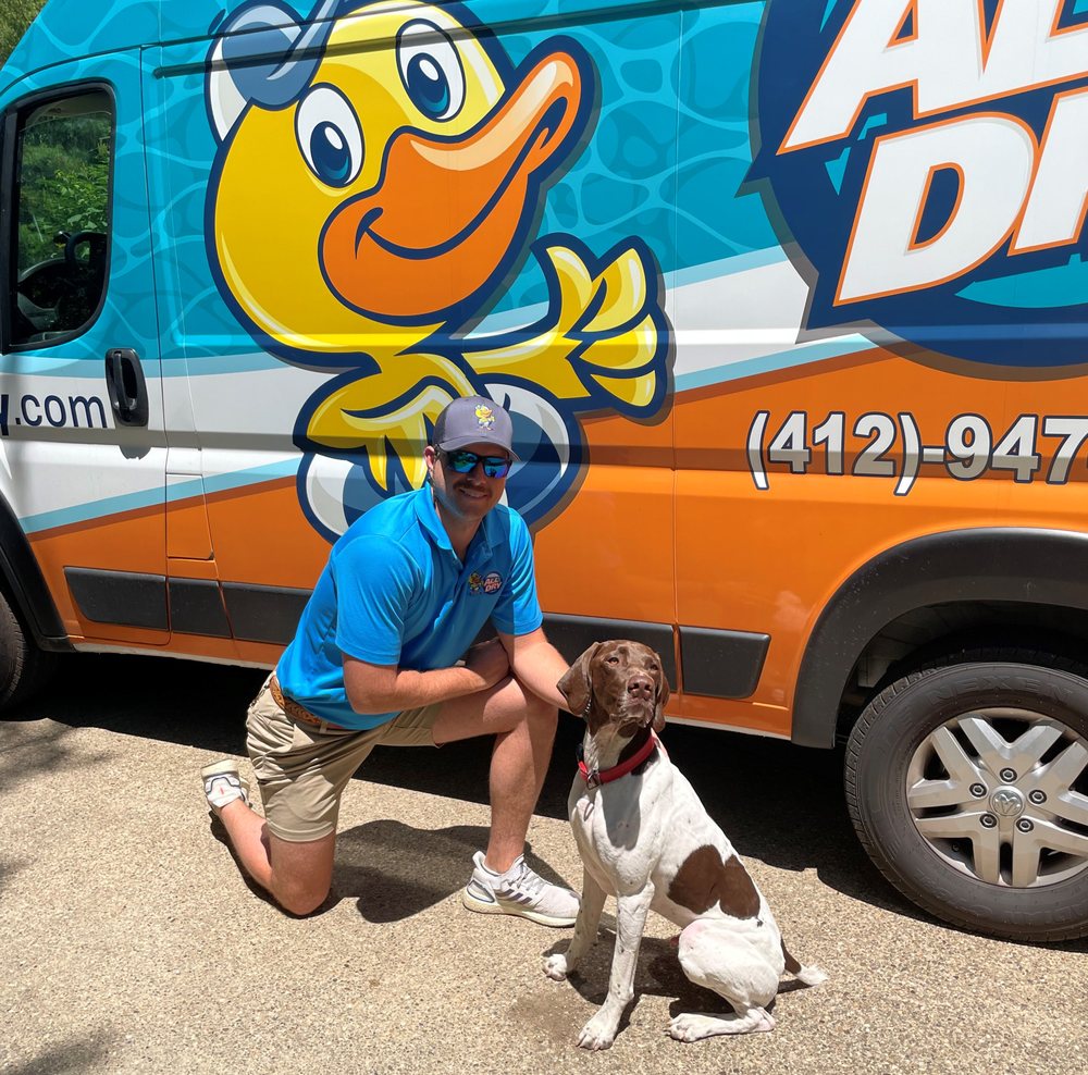 Photo of All Dry Services