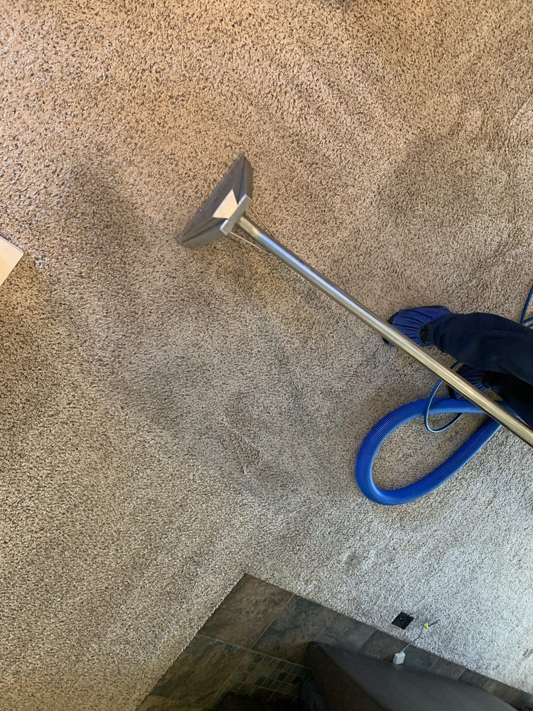 Photo of Fresh & Green Carpet Cleaning