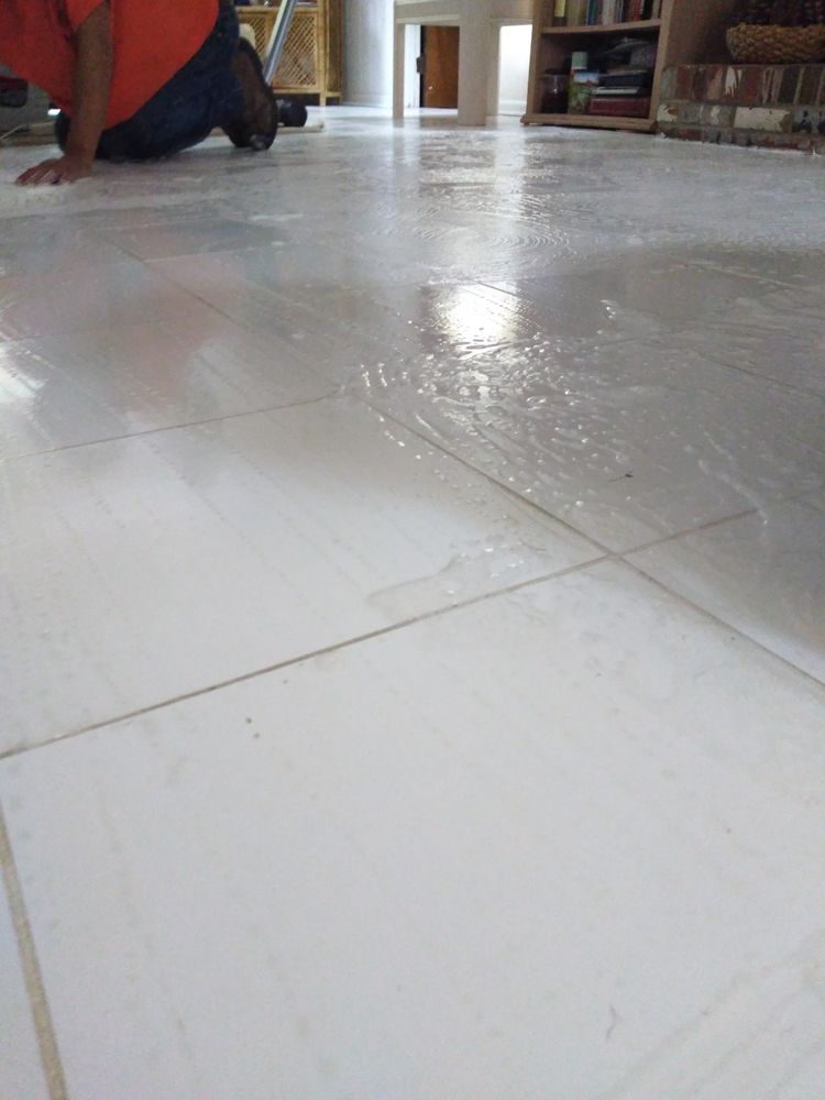 Photo of All Natural Cleaning