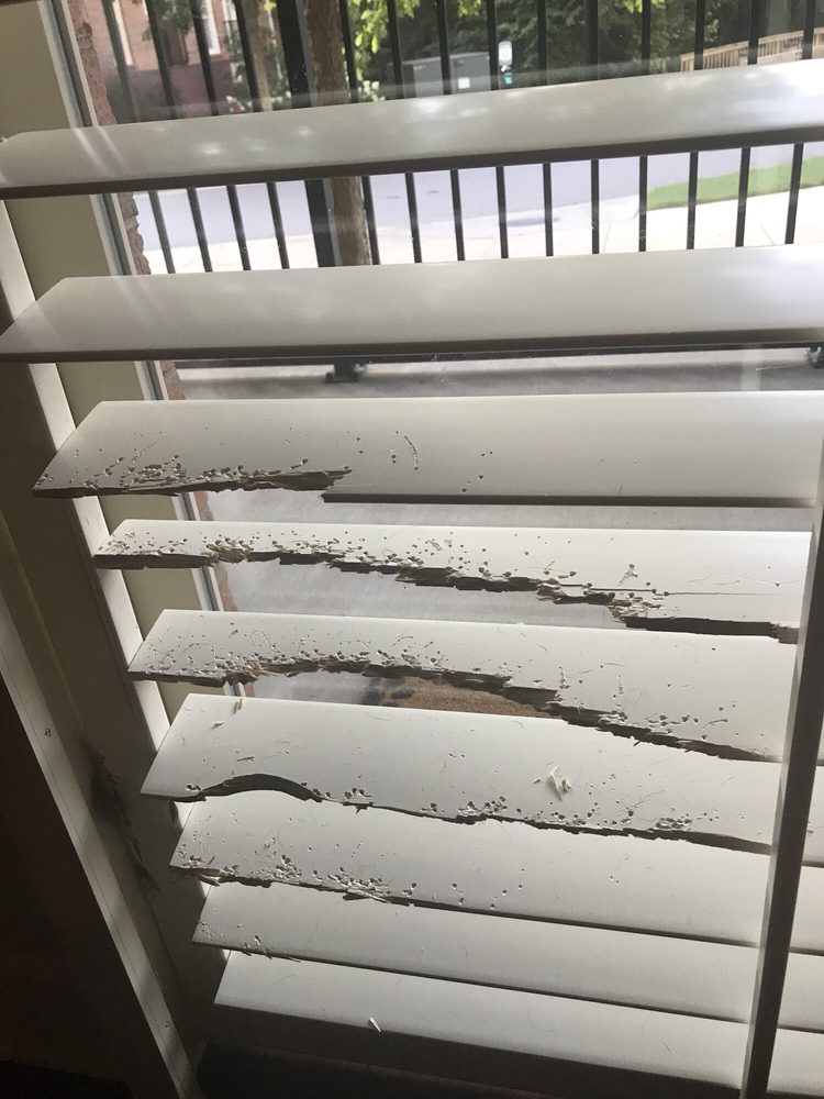 Photo of Blind and Shade Repair of Atlanta