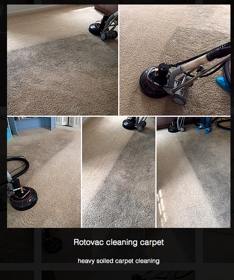 Photo of Blue Dog Carpet Cleaning