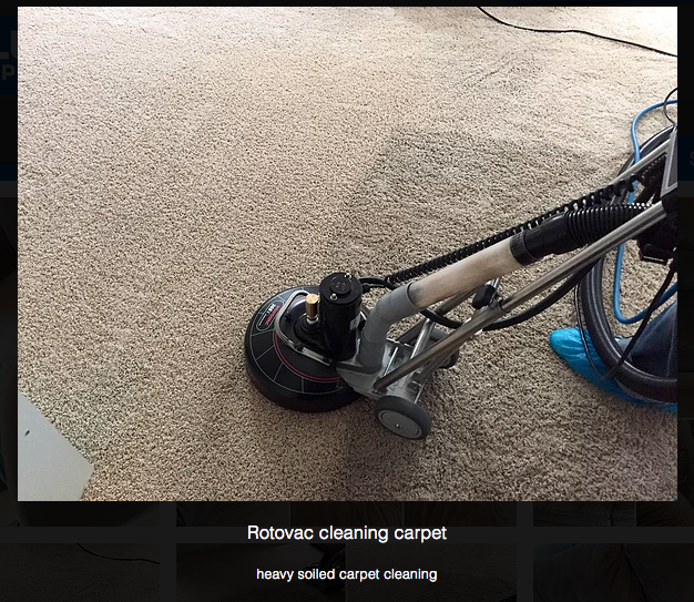 Photo of Blue Dog Carpet Cleaning