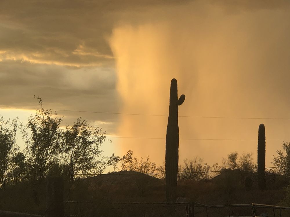 Photo of Wild West Trail Rides