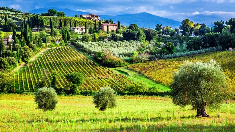 Photo of Wine Tasting Events USA