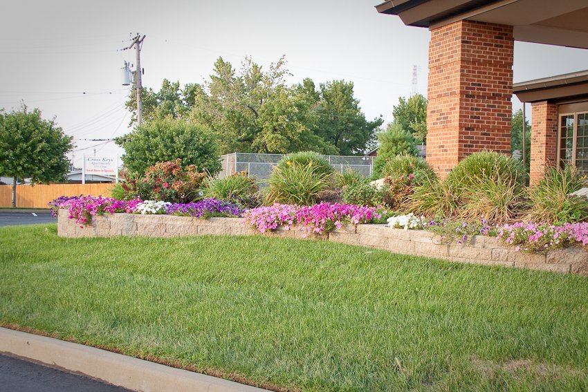 Photo of Green Team Lawn Service