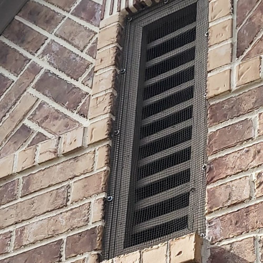 Photo of Urban Jungle Wildlife Removal