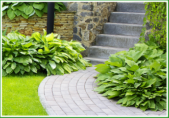 Photo of Forest Wind Landscaping
