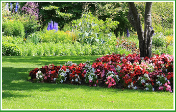 Photo of Forest Wind Landscaping