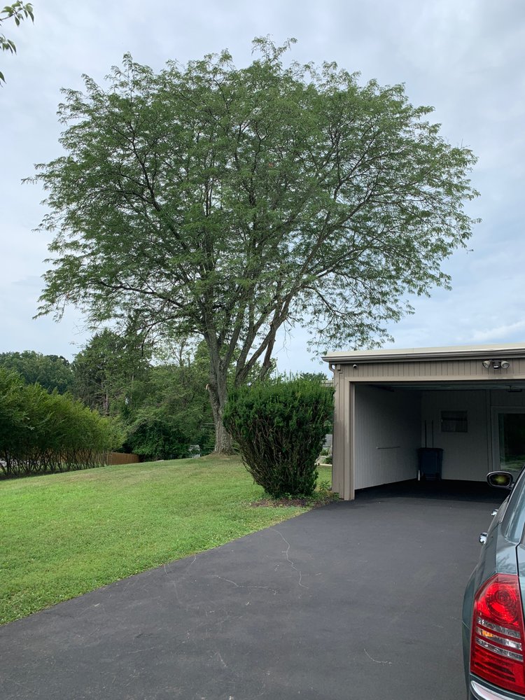 Photo of Arbormasters