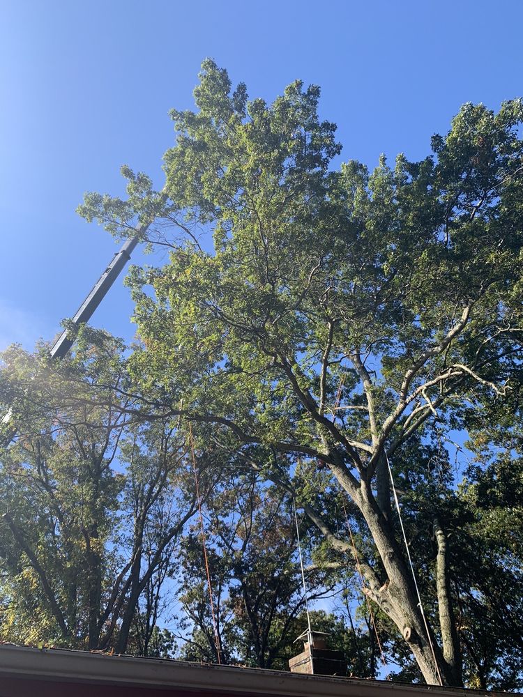 Photo of Arbormasters