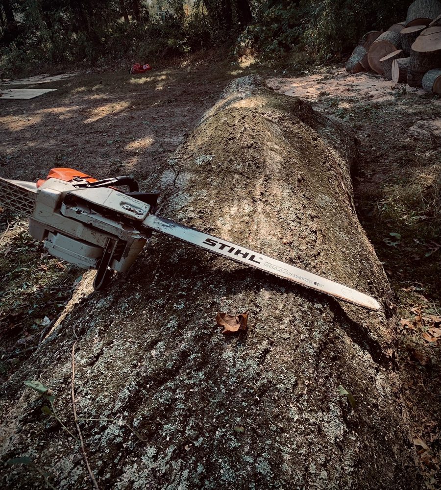 Photo of Arbormasters