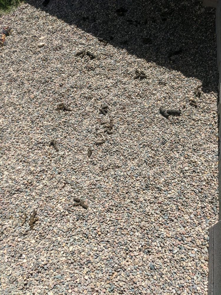 Photo of PoopFinders
