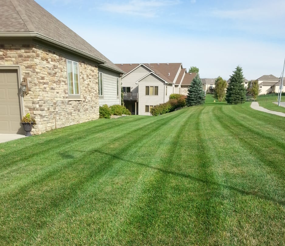 Photo of S&E Property Care