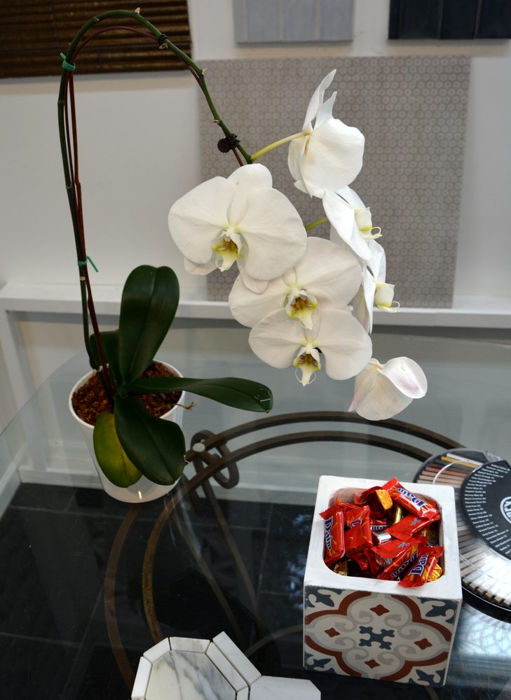 Photo of Carolina Tile & Stone