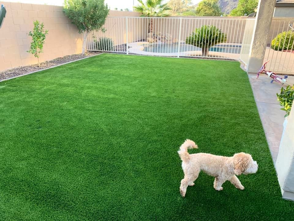 Photo of TurfScapes Of Arizona
