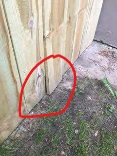 Photo of Action Fence