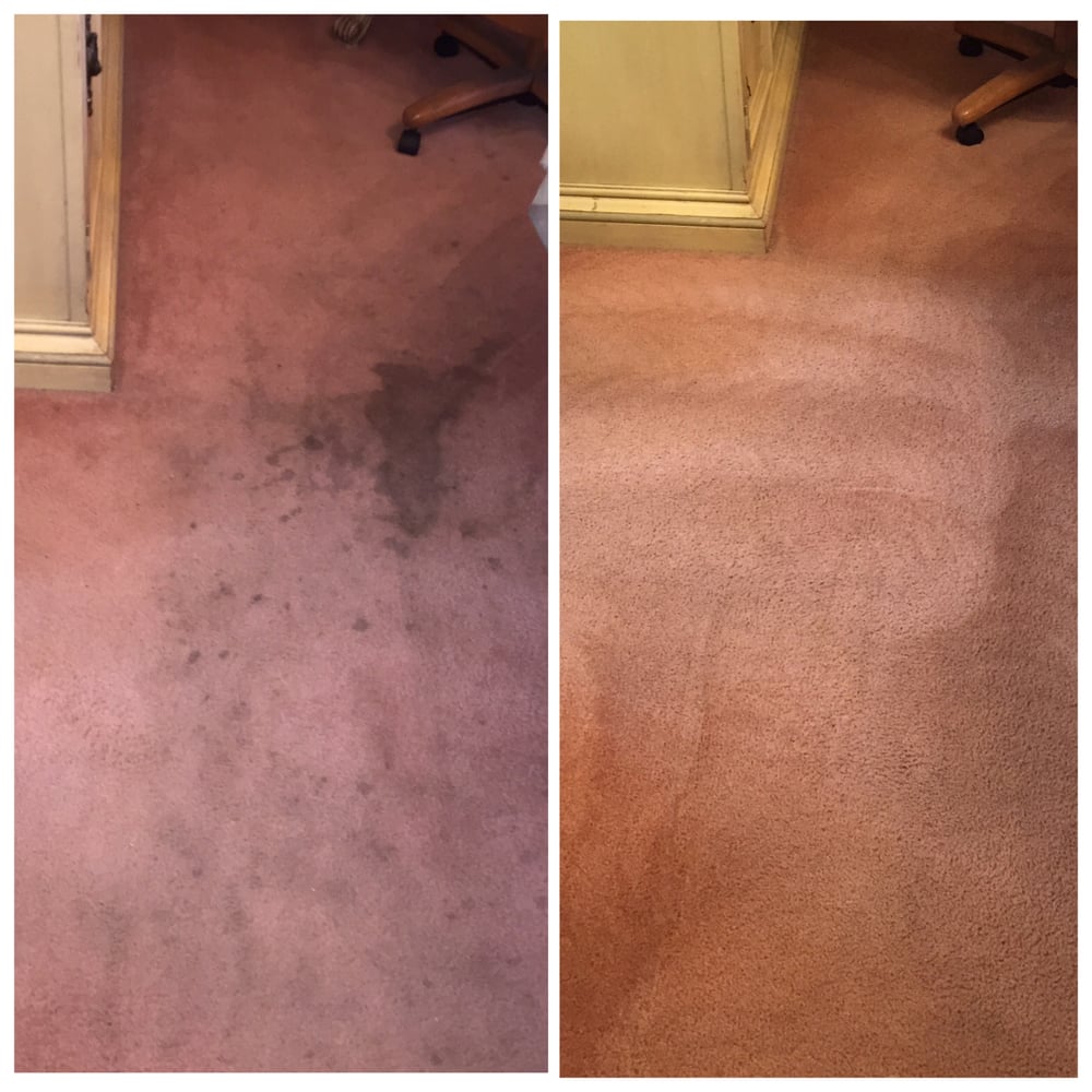 Photo of Come Clean Carpet Care