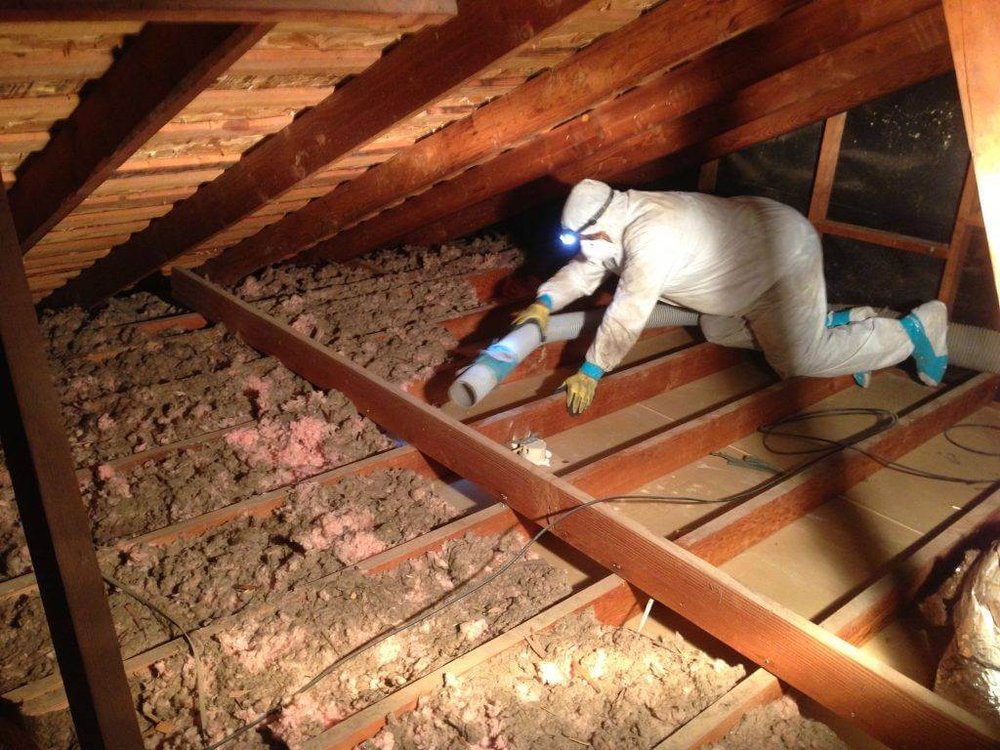 Photo of Attic Cali