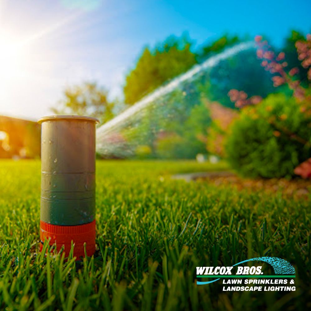 Photo of Wilcox Bros Lawn Sprinklers