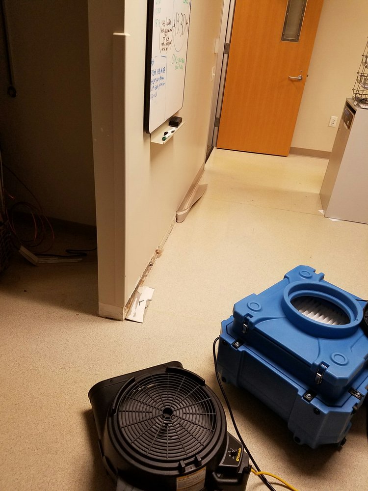 Photo of BB Steam Cleaning