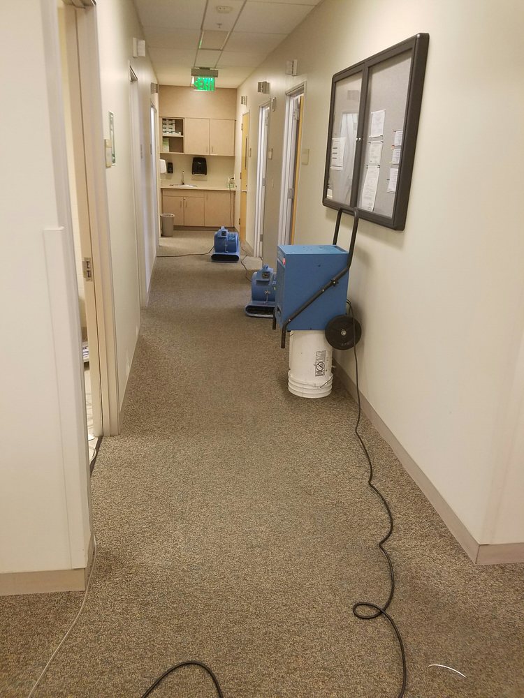 Photo of BB Steam Cleaning