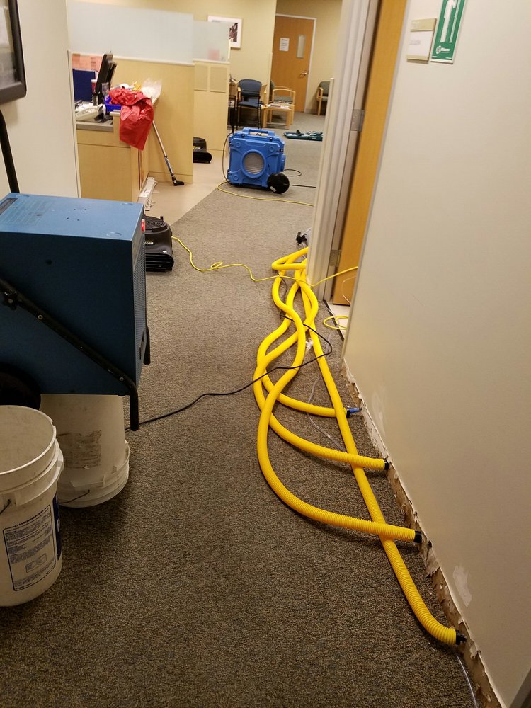 Photo of BB Steam Cleaning