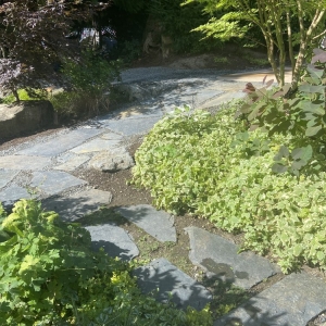 Photo of Down to Earth Landscaping, Inc