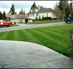 Photo of Down to Earth Landscaping, Inc